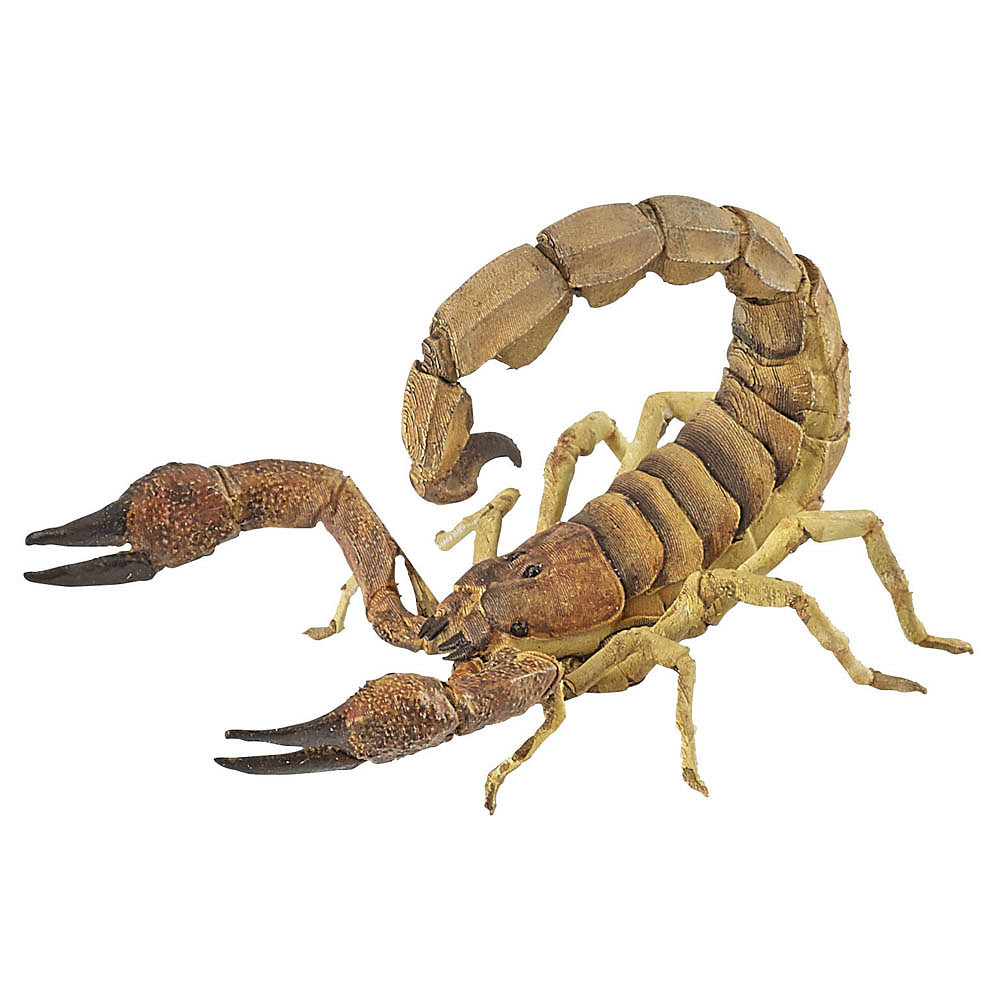 papo Wildtiere der Welt 50209 Skorpion Spielfigur