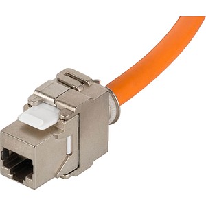 4040849589348 - 0 m orange goobay RJ-45 Netzwerkkabel 500 m orange 1 St 58934 4040849589348 4040849589348 - 0 m orange goobay RJ-45 Netzwerkkabel 500 m orange 1 St 58934 4040849589348