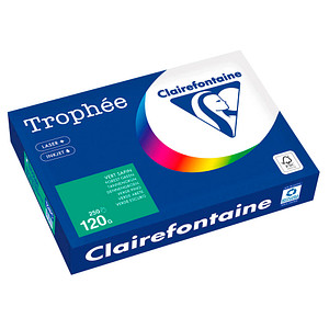 3329680003703 - Kopierpapier Trophée tannengrün DIN A4 120 g m² 250 Blatt