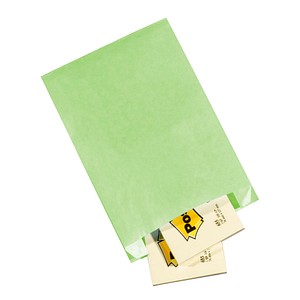 VP Faltenbeutel hellgrün 20,0 x 32,0 cm, 100 St.