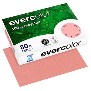 Clairefontaine Recyclingpapier evercolor 40003C rosa pastell A4 80g 3288580400039 Clairefontaine 500 Stück