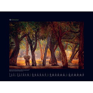9783965914933 - Magische Wälder der Erde - KUNTH Wandkalender 2026