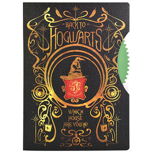 BlueSky Notizbuch Harry Potter - Spinner DIN A5 liniert, mehrfarbig Hardcover 80 Seiten, 1 St.