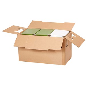 10 Umzugskartons 2-wellig