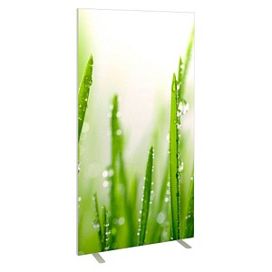 3660141946215 - Trennwand easyScreen ES97014 Gräser Motiv 940 x 1732 cm