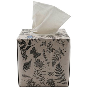 4262419330857 - Taschentücherbox 3-lagig weiß 1 St