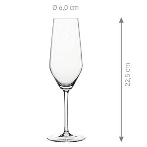 4003322293866 -  Style 2400 ml 12 St