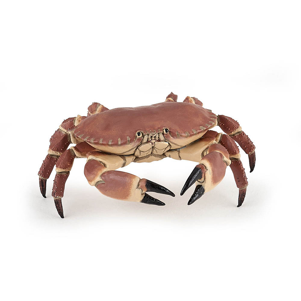 papo Meereswelt 56047 Krabbe Spielfigur
