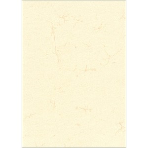 RNK-Verlag Motivpapier Elefantenhaut chamois DIN A3 190 g/qm 10 Blatt