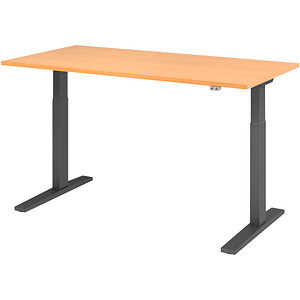 HAMMERBACHER XMKA16 elektrisch höhenverstellbarer Schreibtisch buche rechteckig, C-Fuß-Gestell grau 160,0 x 80,0 cm