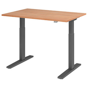 HAMMERBACHER XMKA12 elektrisch höhenverstellbarer Schreibtisch nussbaum rechteckig, C-Fuß-Gestell grau 120,0 x 80,0 cm