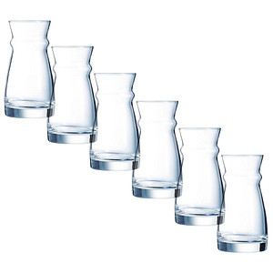 ARCOROC Karaffe Fluid 280,0 ml, 12 St.