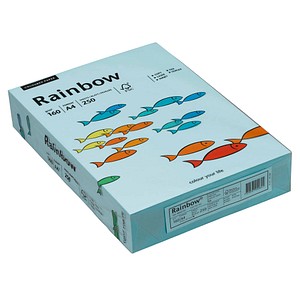 250 Blatt Kopierpapier Rainbow A4 grau 160g farbiges Papier