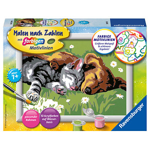4005556280155 - Malen nach Zahlen RAVENSBURGER Tiefer Schlaf bunt Malvorlagen KinderB18cm H13cm Made in Europe B18cm H13cm