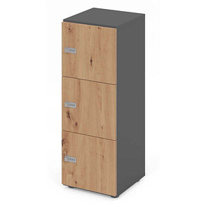 4032062314265 - HAMMERBACHER Schließfachschrank grafit asteiche V234L3 G R ZS 3 Schließfächer 400 x 420 x 1100 cm