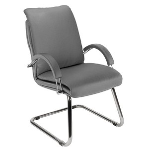 5901747065091 - Besucherstuhl Nadir Steel grau   chrom mit Armlehnen Freischwinger 5901747065091 Nowy Styl