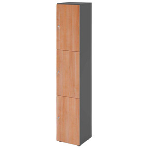 4032062314425 - HAMMERBACHER Schließfachschrank grafit nussbaum V264L3 G N ZS 3 Schließfächer 400 x 420 x 2156 cm 4032062314425 - HAMMERBACHER Schließfachschrank grafit nussbaum V264L3 G N ZS 3 Schließfächer 400 x 420 x 2156 cm