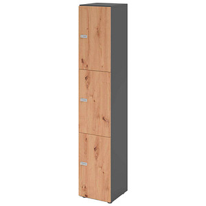 4032062314432 - HAMMERBACHER Schließfachschrank grafit asteiche V264L3 G R ZS 3 Schließfächer 400 x 420 x 2156 cm