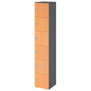 4032062314579 - HAMMERBACHER Schließfachschrank grafit buche V264L6 G 6 ZS 6 Schließfächer 400 x 420 x 2156 cm 4032062314579 - HAMMERBACHER Schließfachschrank grafit buche V264L6 G 6 ZS 6 Schließfächer 400 x 420 x 2156 cm