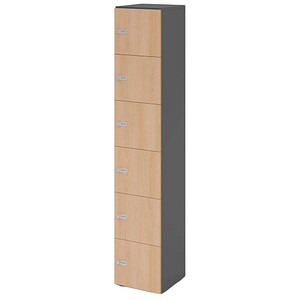 4032062314586 - HAMMERBACHER Schließfachschrank grafit eiche V264L6 G E ZS 6 Schließfächer 400 x 420 x 2156 cm 4032062314586 - HAMMERBACHER Schließfachschrank grafit eiche V264L6 G E ZS 6 Schließfächer 400 x 420 x 2156 cm