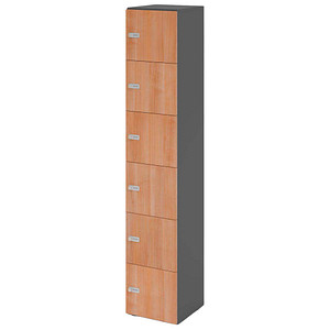 4032062314593 - HAMMERBACHER Schließfachschrank grafit nussbaum V264L6 G N ZS 6 Schließfächer 400 x 420 x 2156 cm