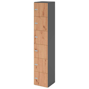 4032062314609 - HAMMERBACHER Schließfachschrank grafit asteiche V264L6 G R ZS 6 Schließfächer 400 x 420 x 2156 cm