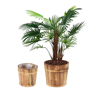 4052025376055 - Pflanzkübel Holz braun rund 240190 x 210180 cm 4052025376055 relaxdays 2 Stück