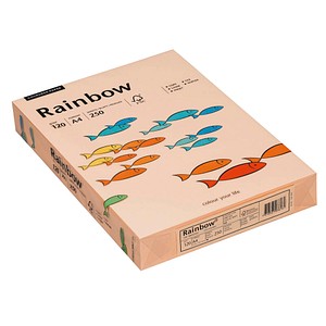 Rainbow Kopierpapier COLOURED PAPER lachs DIN A4 120 g/qm 250 Blatt Rainbow Kopierpapier COLOURED PAPER lachs DIN A4 120 g/qm 250 Blatt