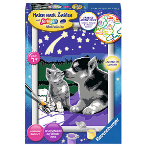 4005556278473 - Malen nach Zahlen - Jeder kann malen (Mal-Sets) Bildgröße 13 x 18 cm - Ravensburger Malen nach Zahlen 27847 - Hund und Katze - Kinder ab 7 Jahren