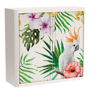 PAPERFLOW easyOffice Tropical Rollladenschrank 60660 2 Fachböden 110,0 x 41,5 x 104,0 cm