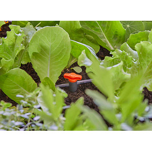 4078500058568 - Absperrventil Micro-Drip-System 4078500058568 GARDENA 2 Stück 4078500058568 - Absperrventil Micro-Drip-System 4078500058568 GARDENA 2 Stück