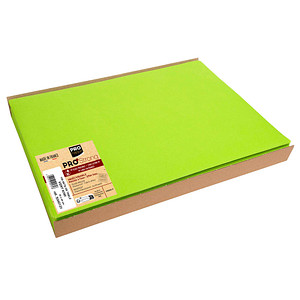 3281513401318 - 100 Platzsets grün 300 x 400 cm 3281513401318 100 Stück