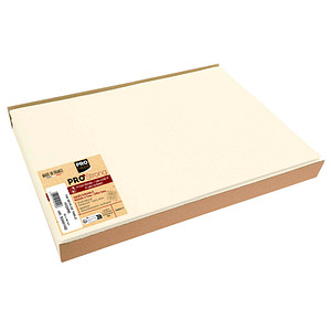 3281513401028 - 100 Platzsets beige 300 x 400 cm 3281513401028 100 Stück
