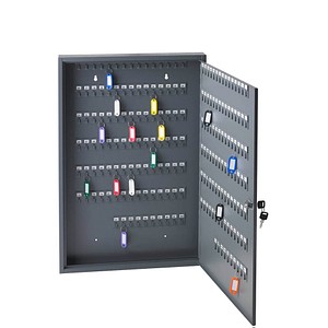 ALCO Schlüsselkasten grau mit 200 Haken, Zylinderschloss, 45,0 x 5,0 x 68,0 cm, 1 St.