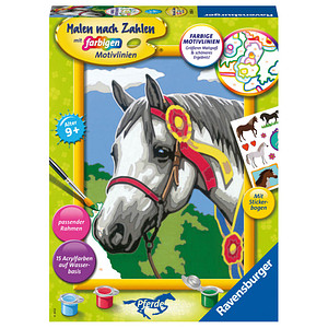 4005556200634 - Malen-nach-Zahlen Stolzes Turnierpferd mehrfarbig 4005556200634 Ravensburger 4005556200634 - Malen-nach-Zahlen Stolzes Turnierpferd mehrfarbig 4005556200634 Ravensburger