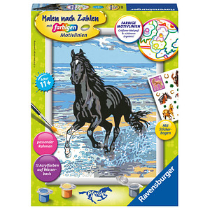 4005556285655 - Malen-nach-Zahlen Pferd am Strand mehrfarbig 4005556285655 Ravensburger 4005556285655 - Malen-nach-Zahlen Pferd am Strand mehrfarbig 4005556285655 Ravensburger